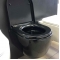 Унитаз подвесной SSWW CT2038 Black